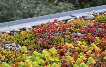 the cost of Corfe Mullen green roof installation