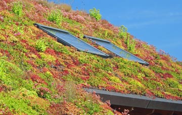 Corfe Mullen living roof systems