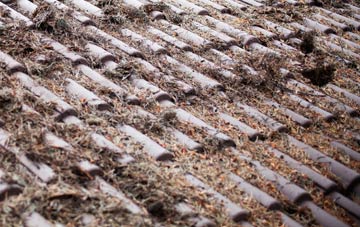 Corfe Mullen roof cleaning companies